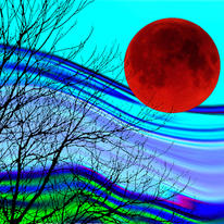 tree dreams 5