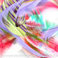 wildflower 2