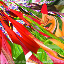 wildflower 3