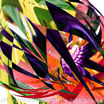 wildflower 1