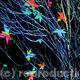 tree dreams 6