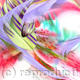 wildflower 2
