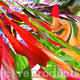 wildflower 3