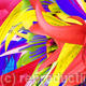 wildflower 4