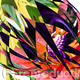 wildflower 1