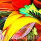 wildflower 5