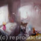 The Missing Biscuits… | | 45 x 60cm | Oil on board The Missing Biscuits…