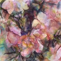 Hellebores