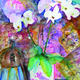 Arabian Days | £395 | 105 x 145cm | Watercolour Signed Limited Edition Giclee Print on Canvas Arabian Days