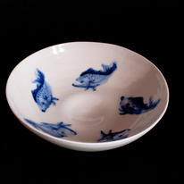 Fish Dish