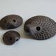 Hedgehog Family