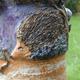 Totum Hedgehog