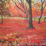 Bodnant Gardens, Conwy - Oil pastel