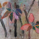 Magnolia - Collage 