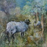 Sheep - Watercolour with texture 