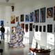 Monkey Cage Gallery