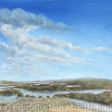 Rock Pools in Northern Ireland - Oil on Canvas