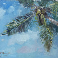 Seychelles palm study