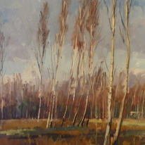Beckley Birch trees