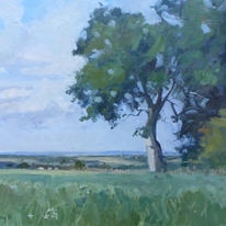 The sun came out peasmarsh