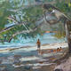 anse lazio praslin