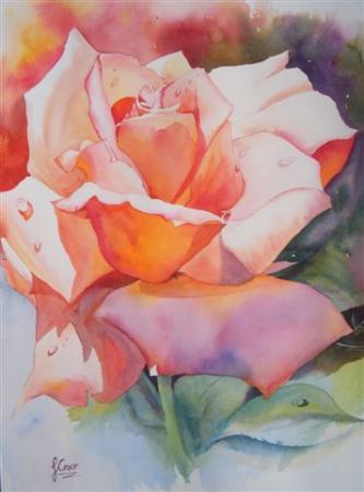 Bloom