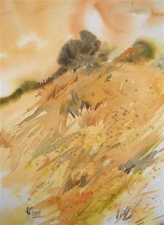 Scrubland