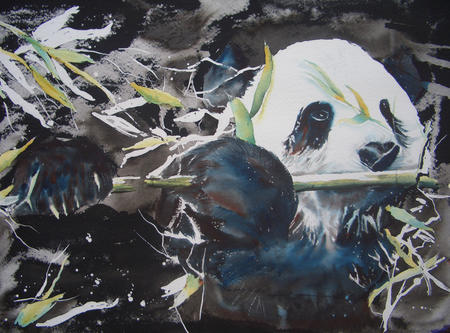 Pied Panda of Pingwu