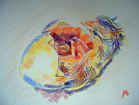 Hatching