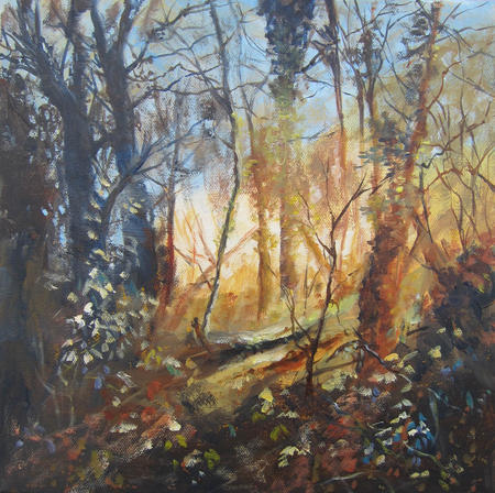 Sunset Wood