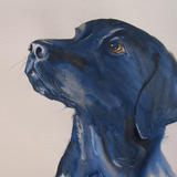 MillieMoo - Watercolour