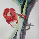 Leeking Pepper - Watercolour
