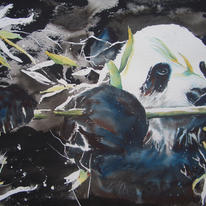 Pied Panda of Pingwu