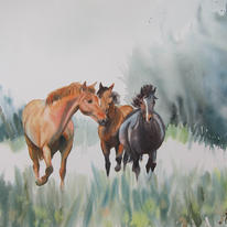 Trotting Trio