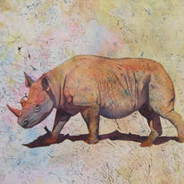 Rhino Skinscape