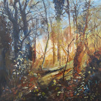 Sunset Wood