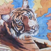 Tiger, Lining Up