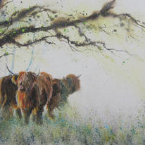 Highland Spring