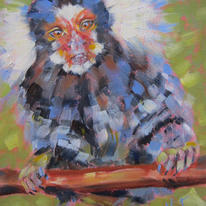 Marmoset