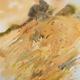 Scrubland