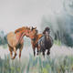 Trotting Trio