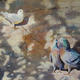 Pavement Art 2 - Envy