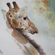 Giraffe Gaze