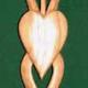 A30* Daffodil, Heart…