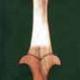 A52* Traditional Christian…