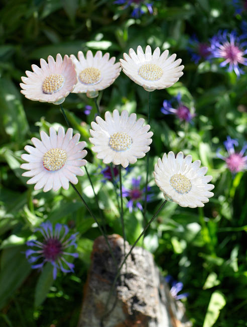 Margueritte