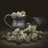 hidden Hop and Jug by Roy Matthews