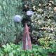 Globe thistles