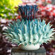 Thistle