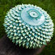 Green Seed Case